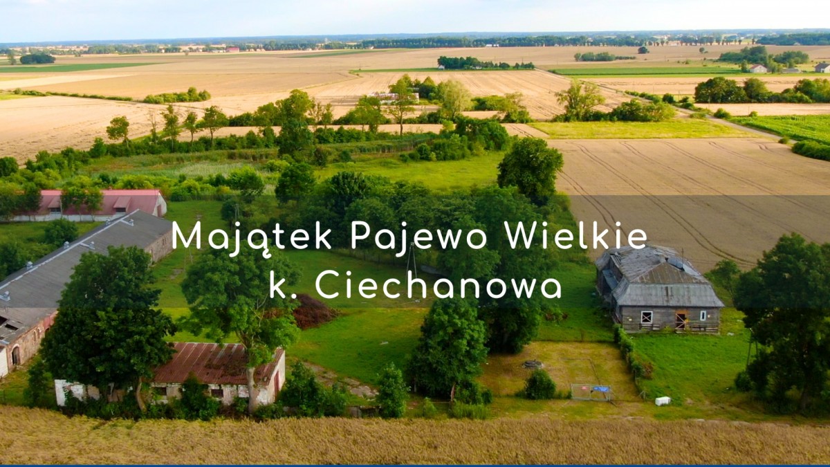 Komercyjny na sprzedaż