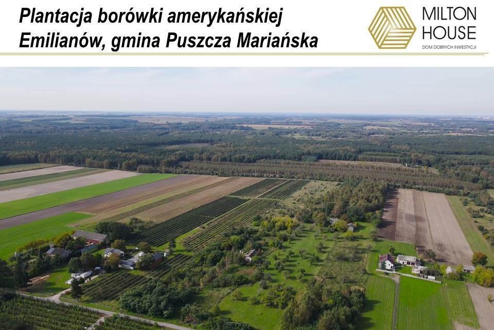 Dom na sprzedaż