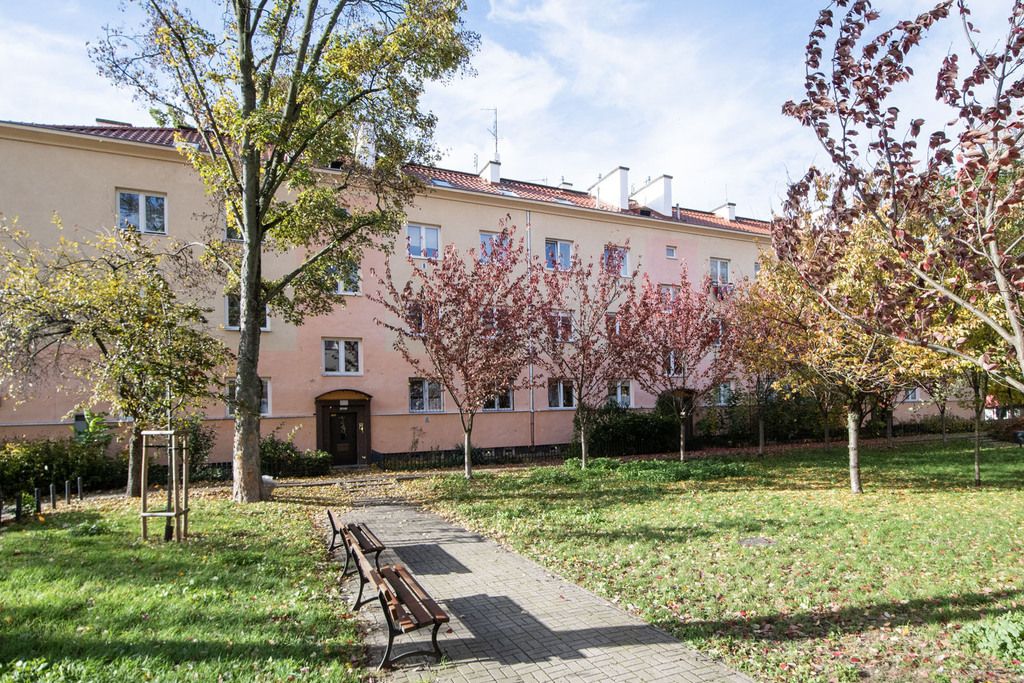 Mieszkanie na wynajem