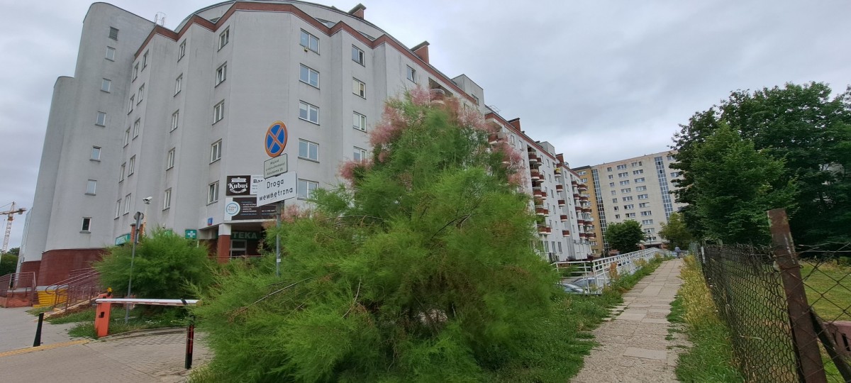Mieszkanie na wynajem