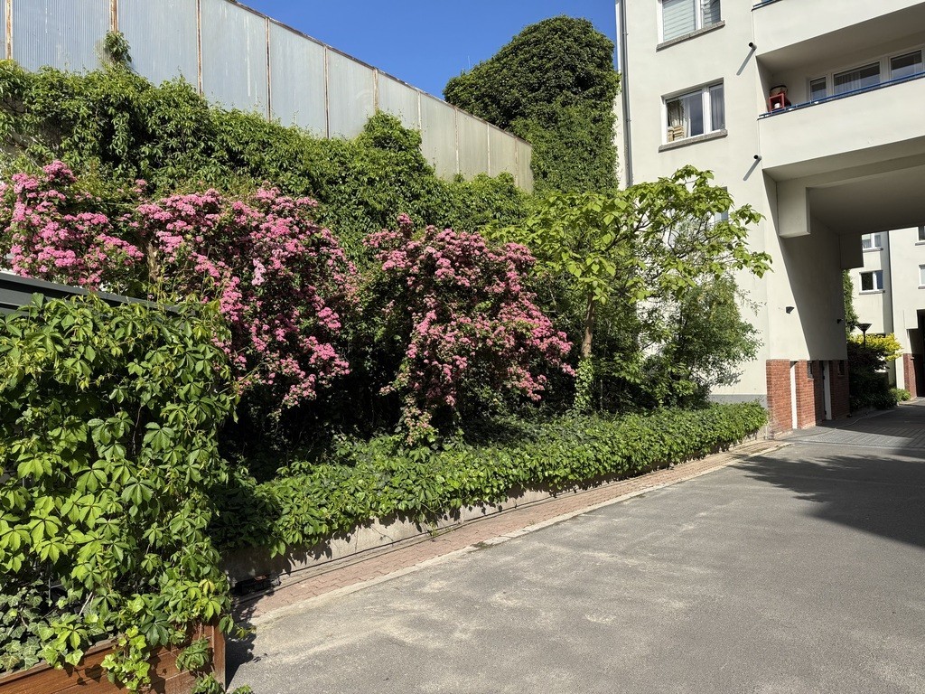 Mieszkanie na wynajem