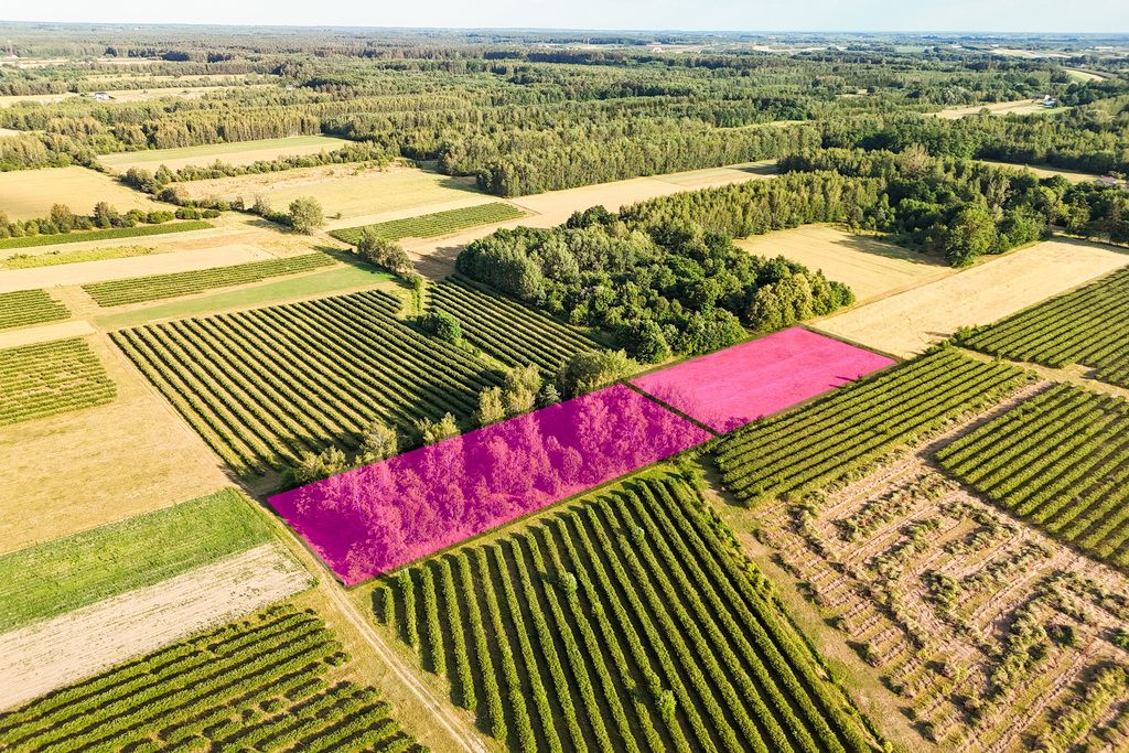 Działka na sprzedaż